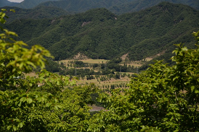 gozenyama_10