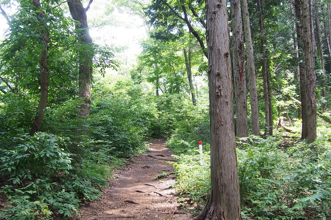 陣馬山