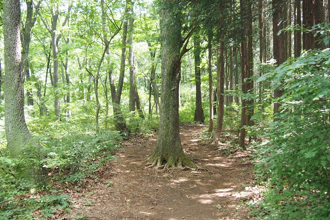 陣馬山