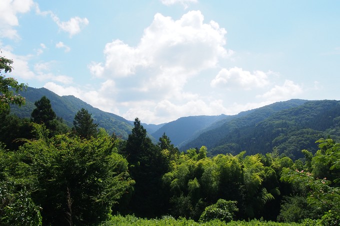 陣馬山