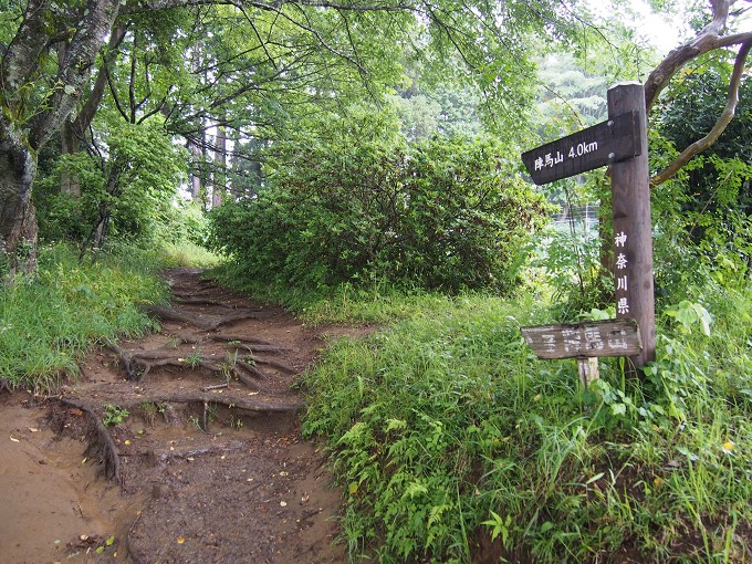 陣馬山