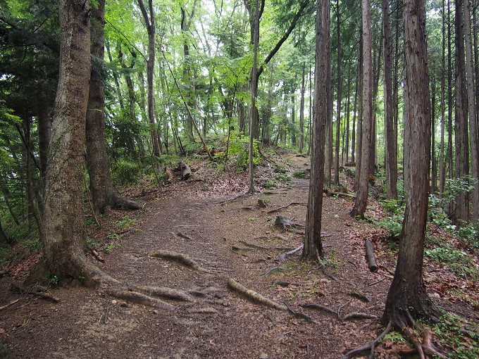 陣馬山