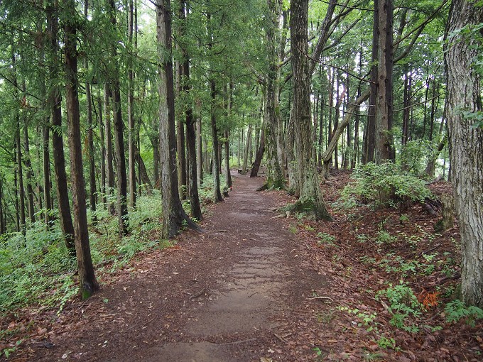 陣馬山