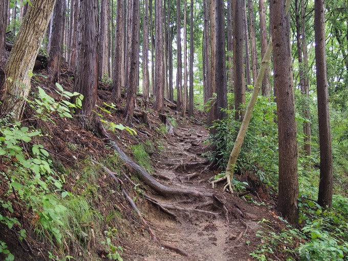 陣馬山