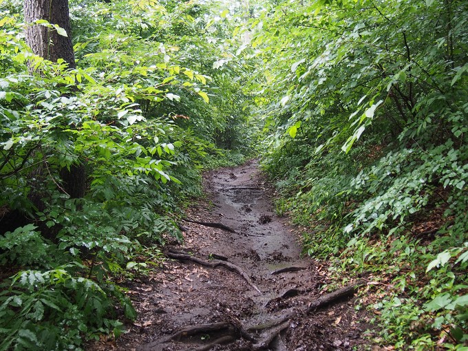 陣馬山