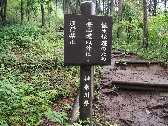 陣馬山