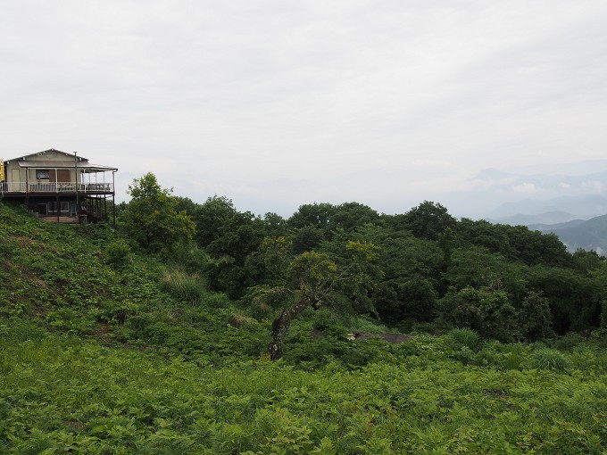 陣馬山