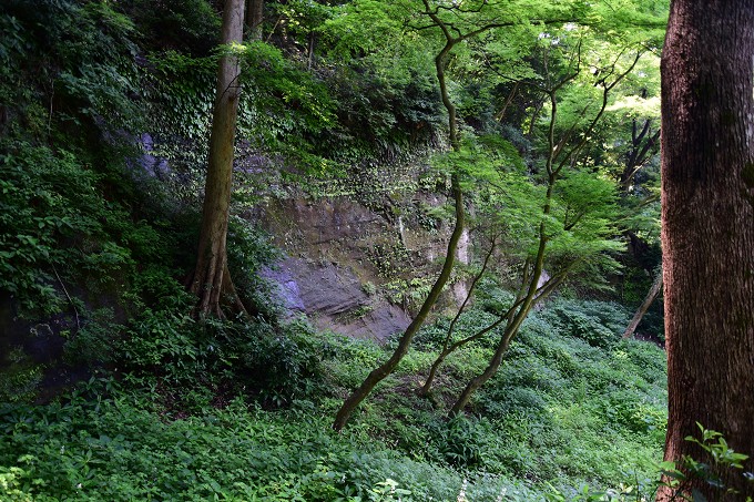 鎌倉アルプス
