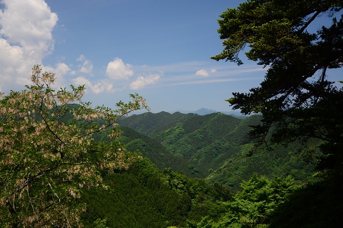 高尾山