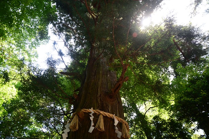 高尾山