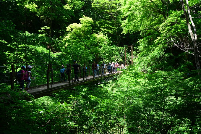 高尾山
