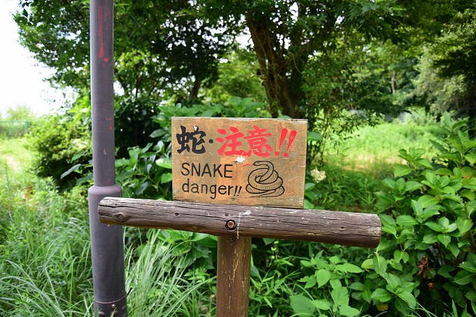 摩耶山
