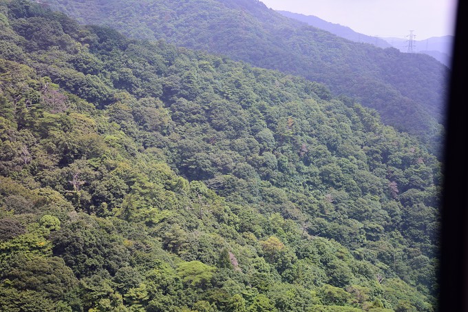 摩耶山