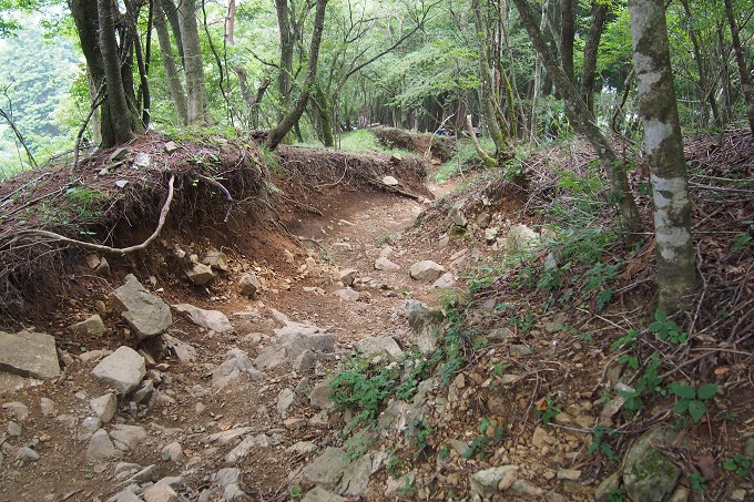 塔ノ岳