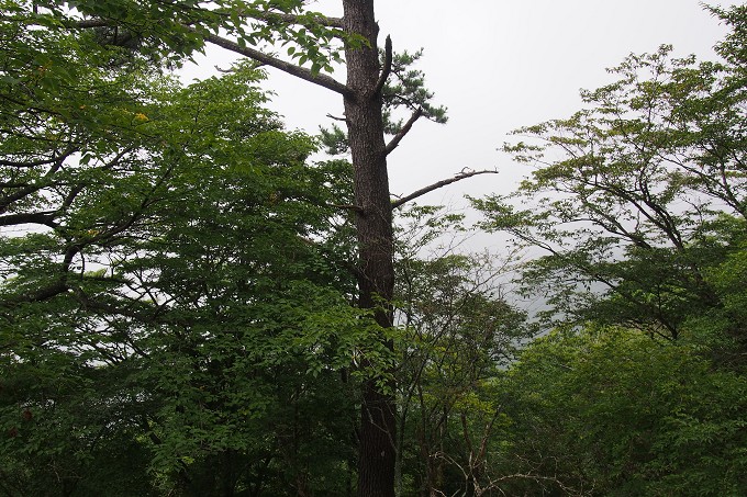 塔ノ岳