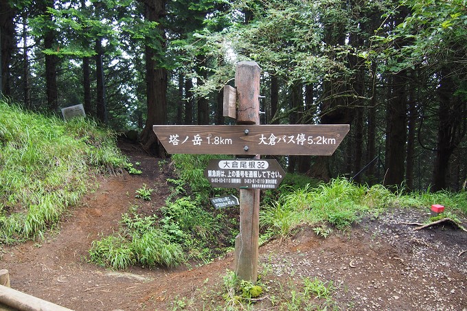 塔ノ岳