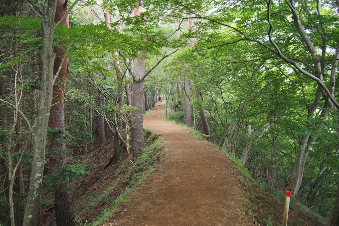 塔ノ岳