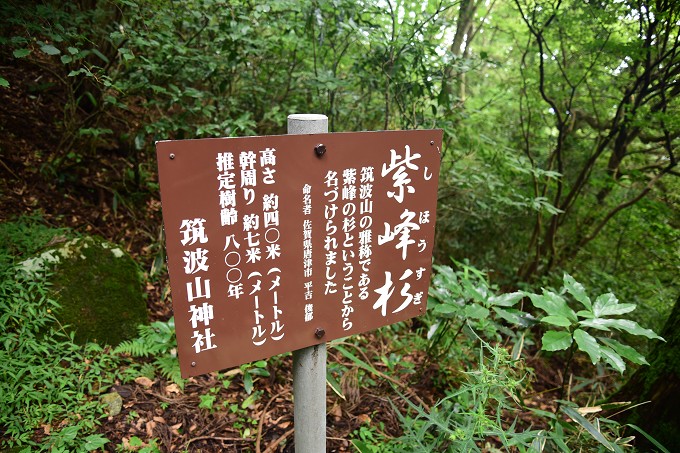筑波山