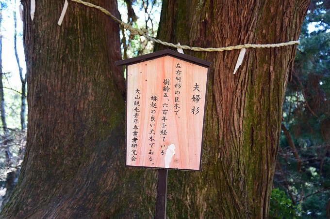 大山