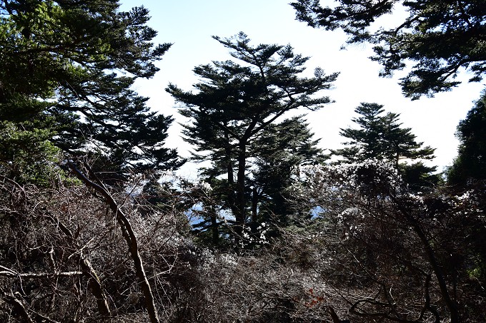 大山