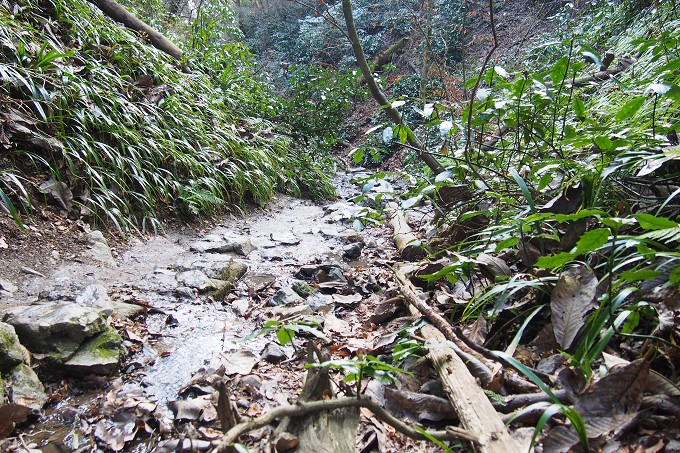 高尾山