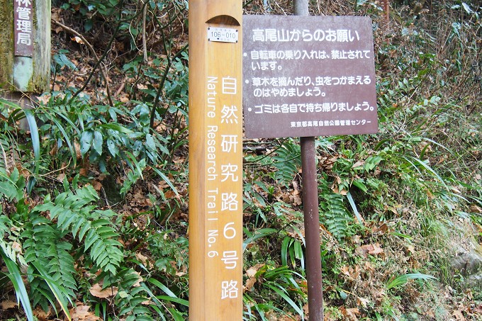 高尾山2016