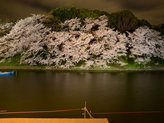 千鳥ヶ淵