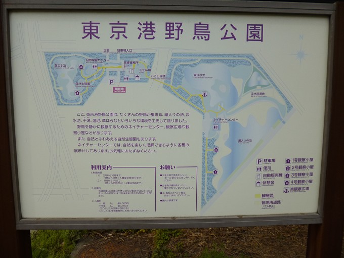 東京港野鳥公園