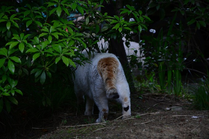 三溪園