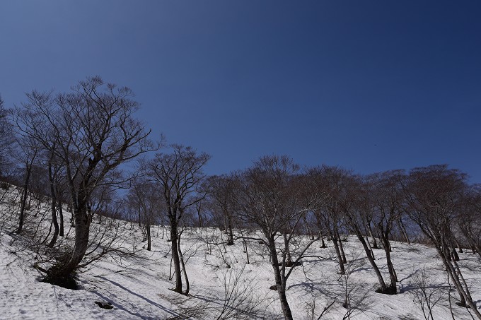 谷川岳