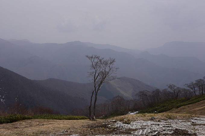 谷川岳