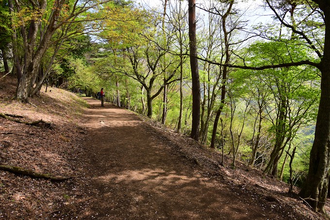 塔ノ岳