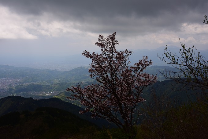 塔ノ岳