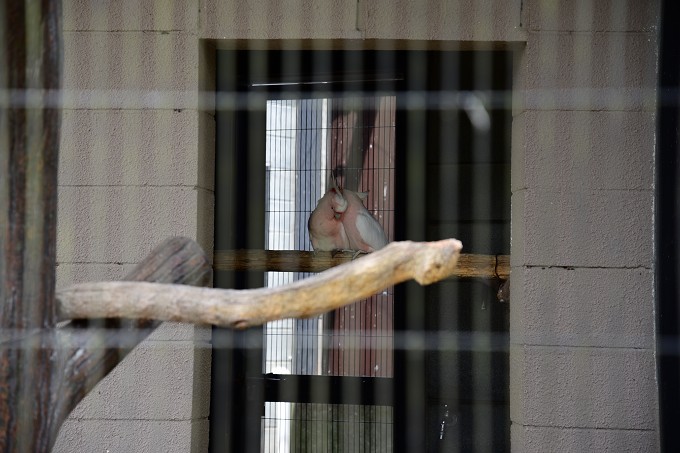 キャンベルタウン