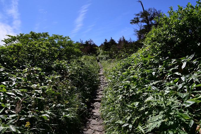 熊野岳