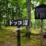 山形山行三日目・ドッコ沼に行ってみました