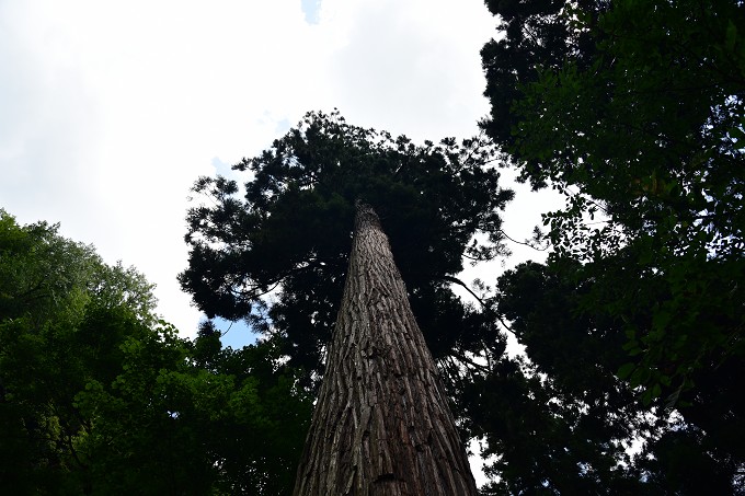 山寺