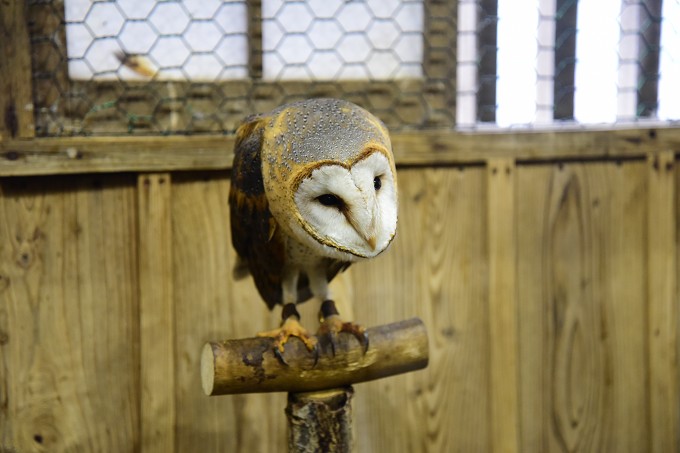 富士花鳥園