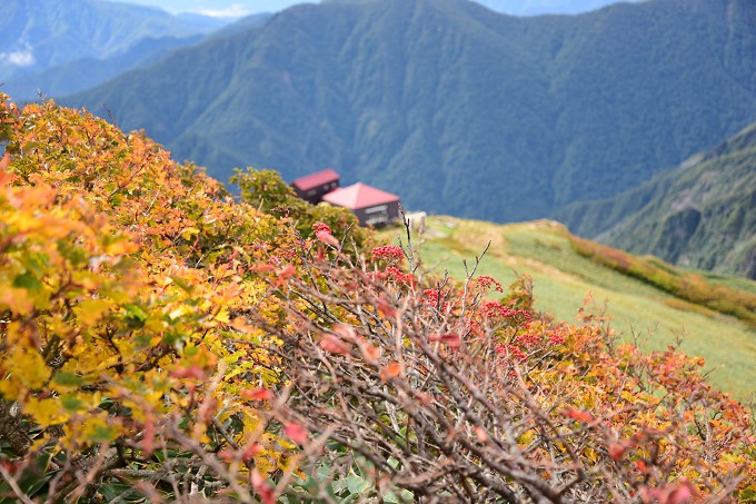 谷川岳