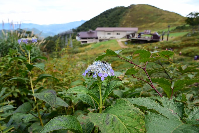 谷川岳