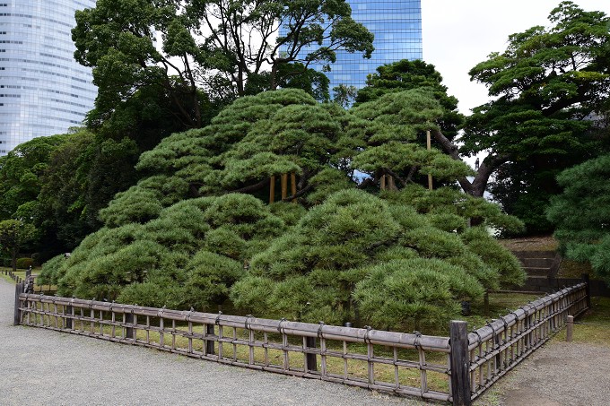 浜離宮恩賜庭園