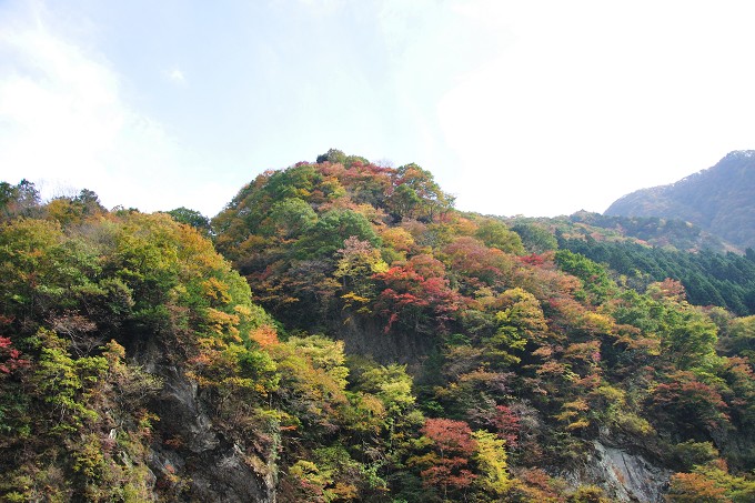 2009年奥秩父紅葉