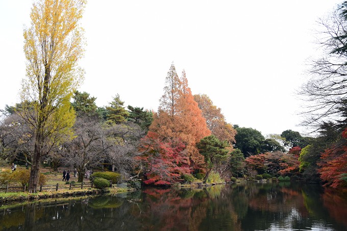 新宿御苑紅葉2016