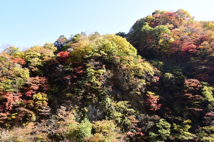 奥秩父紅葉