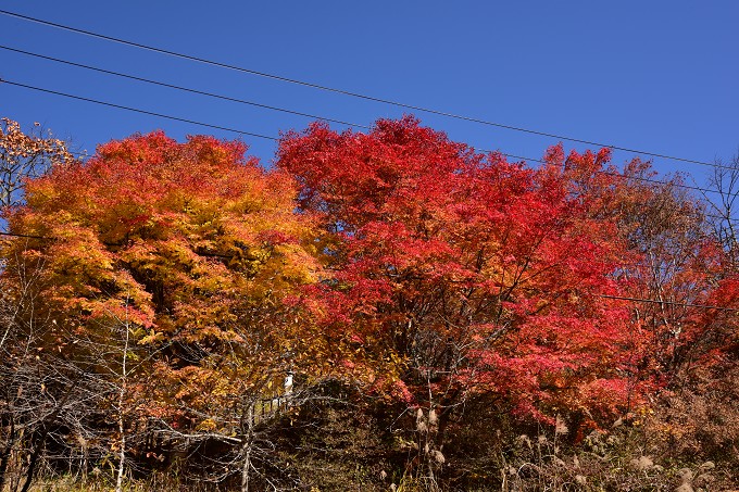 三峯神社