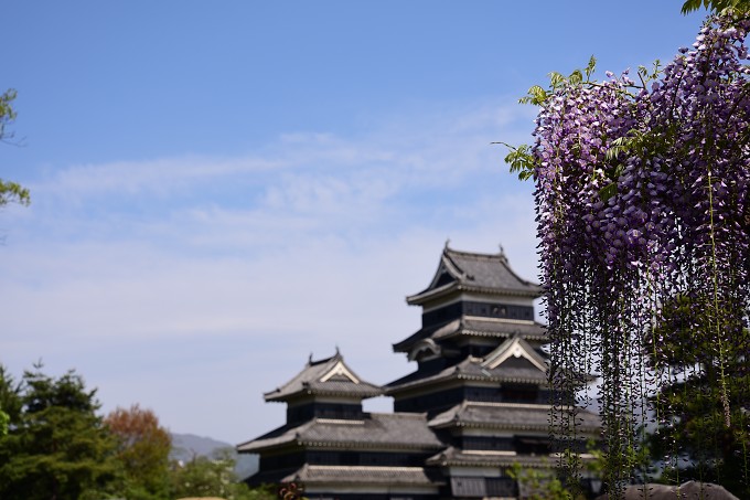 松本城