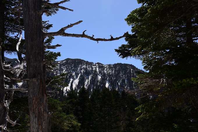 西穂高山荘