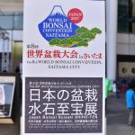 【第8回世界盆栽大会2017inさいたま】水石至宝展の凄みを堪能してきました!