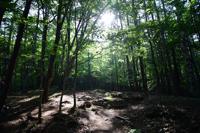 瑞牆山