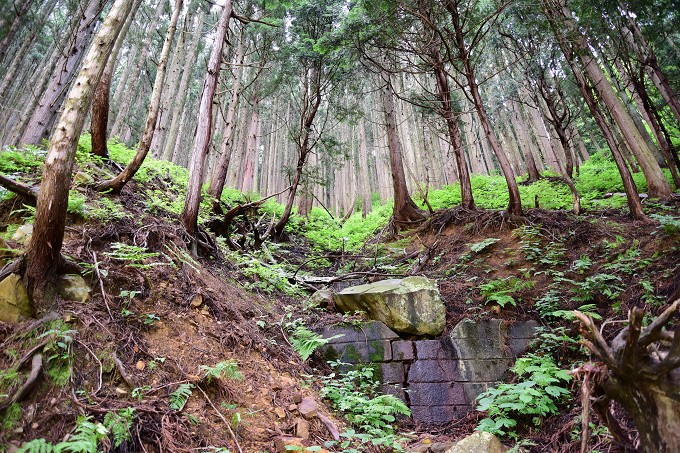 地獄谷野猿公苑